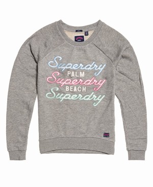 Superdry Applique Raglan Crew Női Pulóver Szürke | NUZTI3067